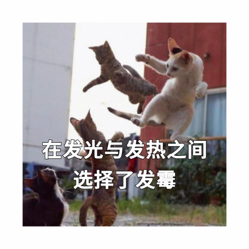 202407131019227358.Png